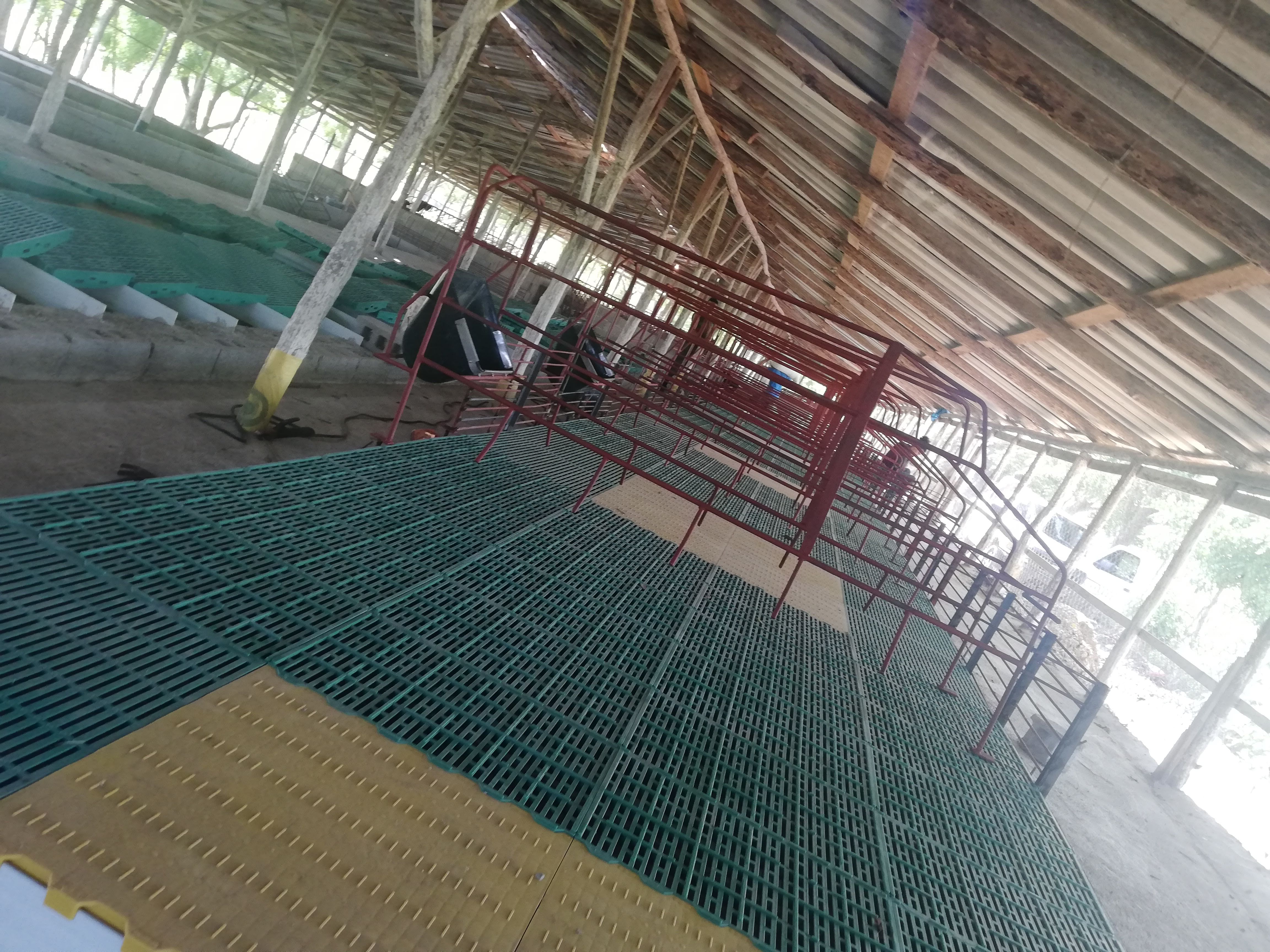 Instalaciones de una granja en República Dominicana