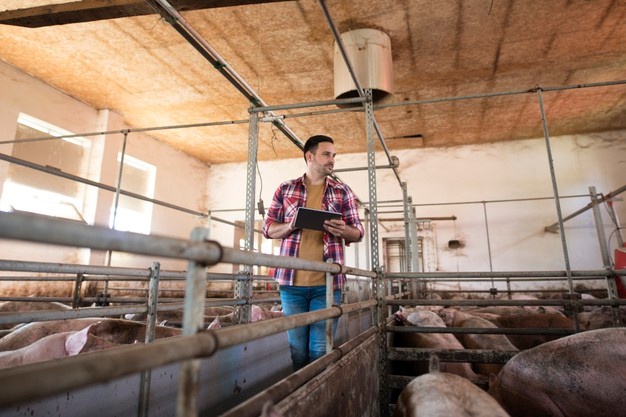 El éxito de las granjas porcinas: personal capacitado