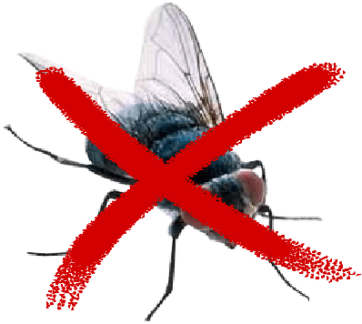 Elimina moscas con FlyHunt
